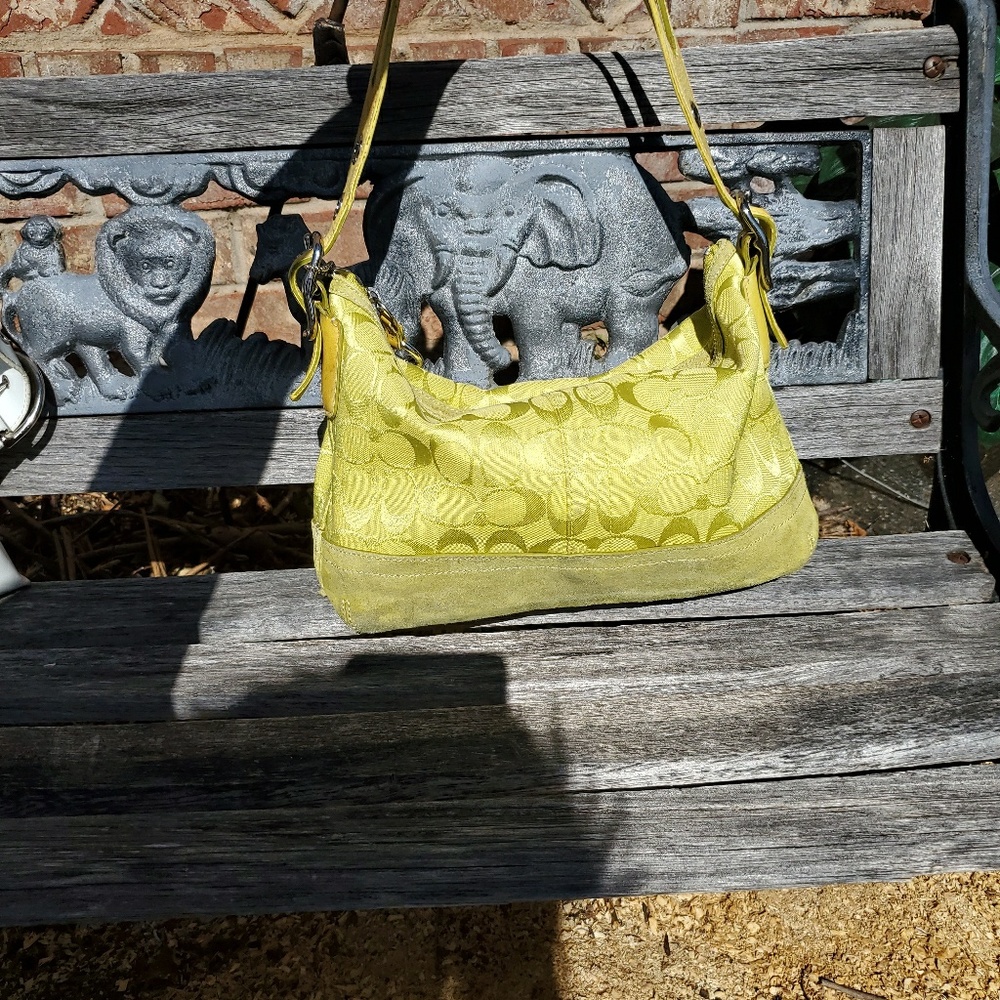 Coach - Picture 6 of 6